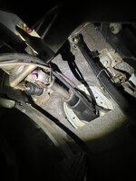IMG_6029.jpeg