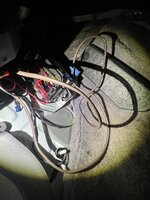 IMG_6030.jpeg
