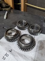 PXL_20260719_175505921.jpg