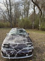 IMG_0815.jpeg