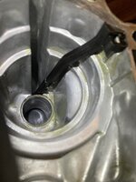 IMG_1771.jpeg