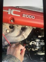 IMG_0787.jpeg