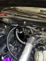 IMG_0865.jpeg