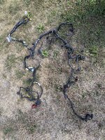 1GA 91 GSX 5 speed take-out engine harness