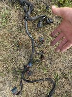 IMG_0299.jpeg