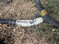IMG_0303.jpeg