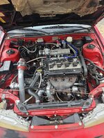 20260628_140959.jpg