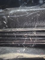 20260628_183556.jpg