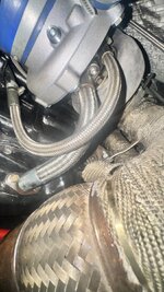 IMG_7061.jpeg