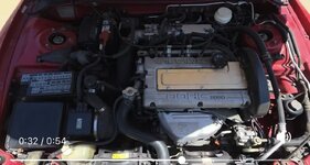 IMG_7532.jpeg