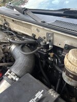 IMG_0787.jpeg