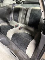 IMG_6598.jpeg