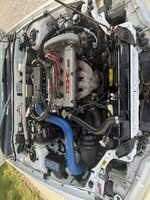 IMG_1314.jpeg