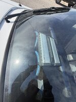 IMG_1313.jpeg
