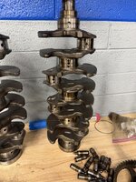 IMG_2060.jpeg