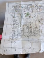 IMG_4665.jpeg