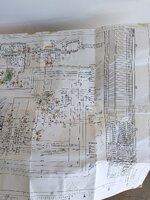IMG_4666.jpeg