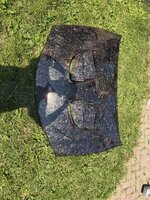 IMG_6805.jpeg IMG_6805.jpeg