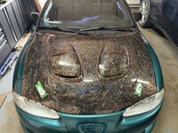 IMG_6819.jpeg IMG_6819.jpeg