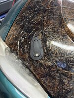 IMG_6829.jpeg IMG_6829.jpeg