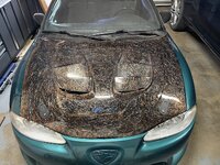 IMG_6830.jpeg IMG_6830.jpeg