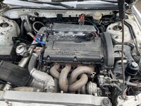 IMG_3887.jpeg