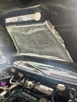 IMG_7059.jpeg