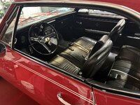 IMG_6803.jpeg