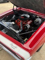 IMG_6787.jpeg