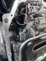 IMG_8541.jpeg