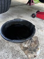 IMG_8542.jpeg