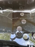 IMG_8537.jpeg