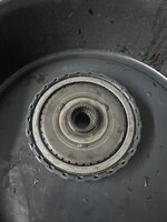 IMG_8560.jpeg