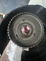 IMG_8561.jpeg
