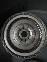 IMG_8564.jpeg