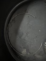 IMG_8565.jpeg