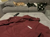 DSMshirt.jpg