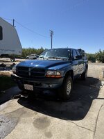 IMG_5284.jpeg