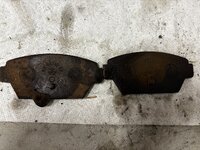 IMG_4247.jpeg