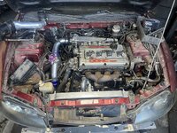 IMG_6543.jpeg