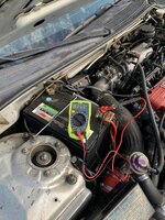 IMG_0520.jpeg