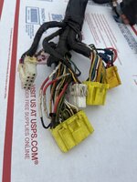 IMG_6954.jpeg