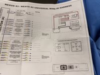IMG_8986.jpeg