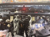 IMG_9003.jpeg