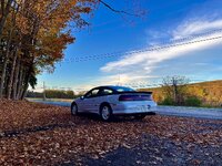 IMG_5008.jpeg
