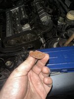 IMG_1838.jpeg