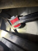 IMG_6969.jpeg