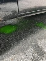 IMG_1088.jpeg