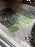 IMG_1089.jpeg