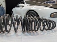 H&R Race springs